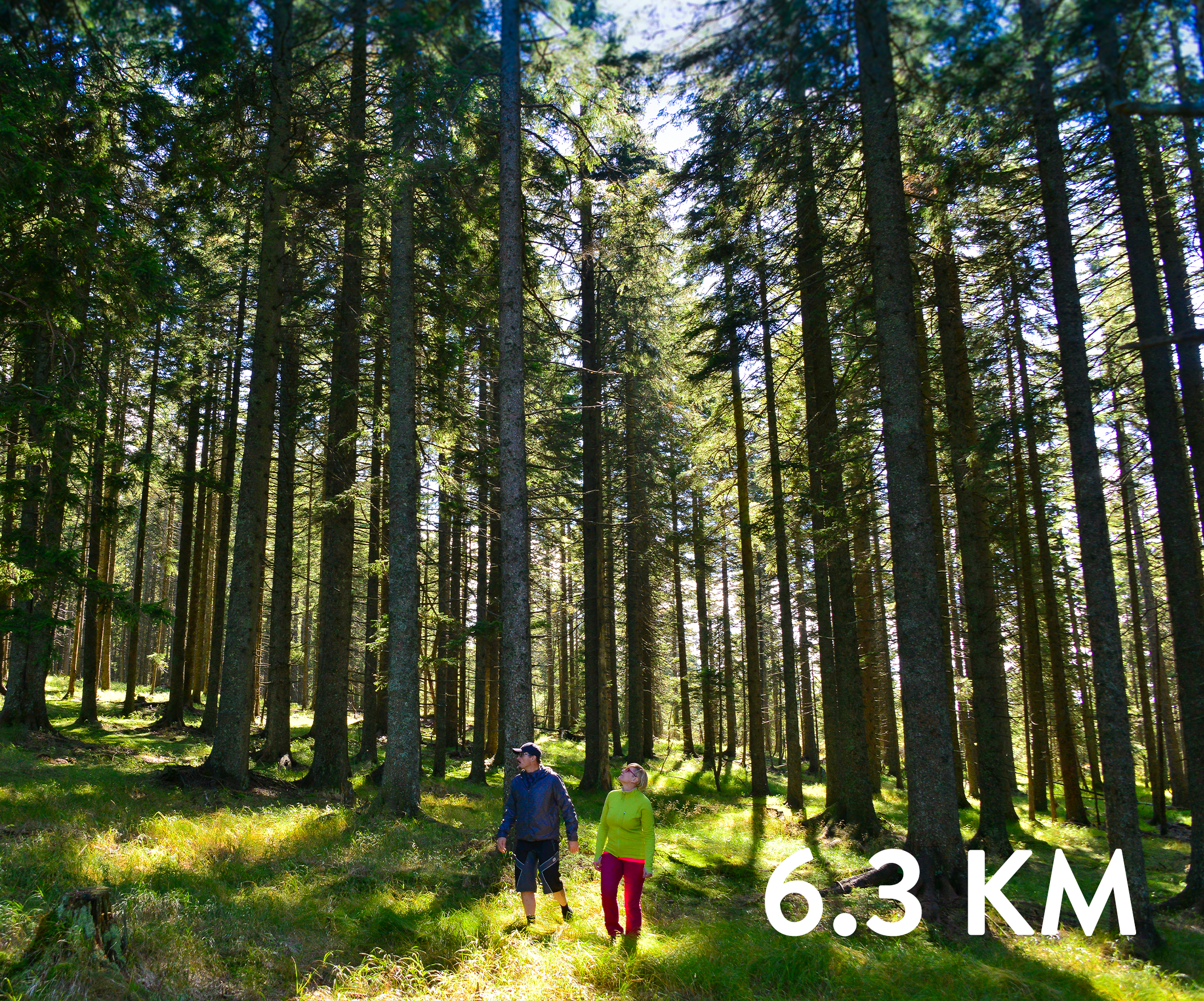 SPP: Šumik – Koča na Klopnem vrhu