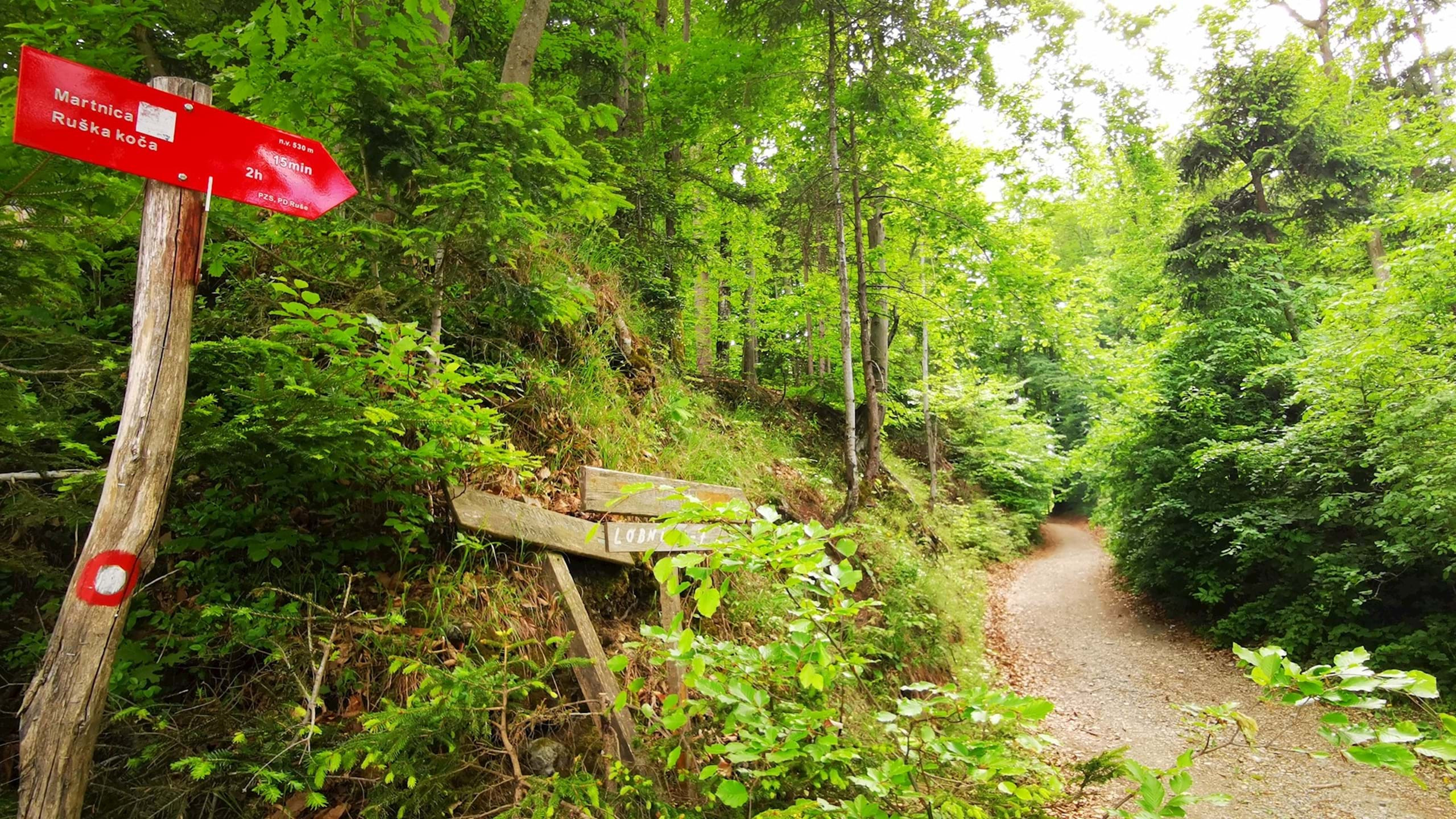 Martnica Maribor Pohorje Slovenija Slovenia Karmen Razlag 5