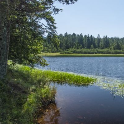 Črno jezero na Pohorju