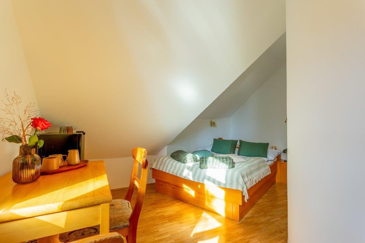 Foto Studio Zelezna Helena Balaz Fotografiranje Nastanitev 30