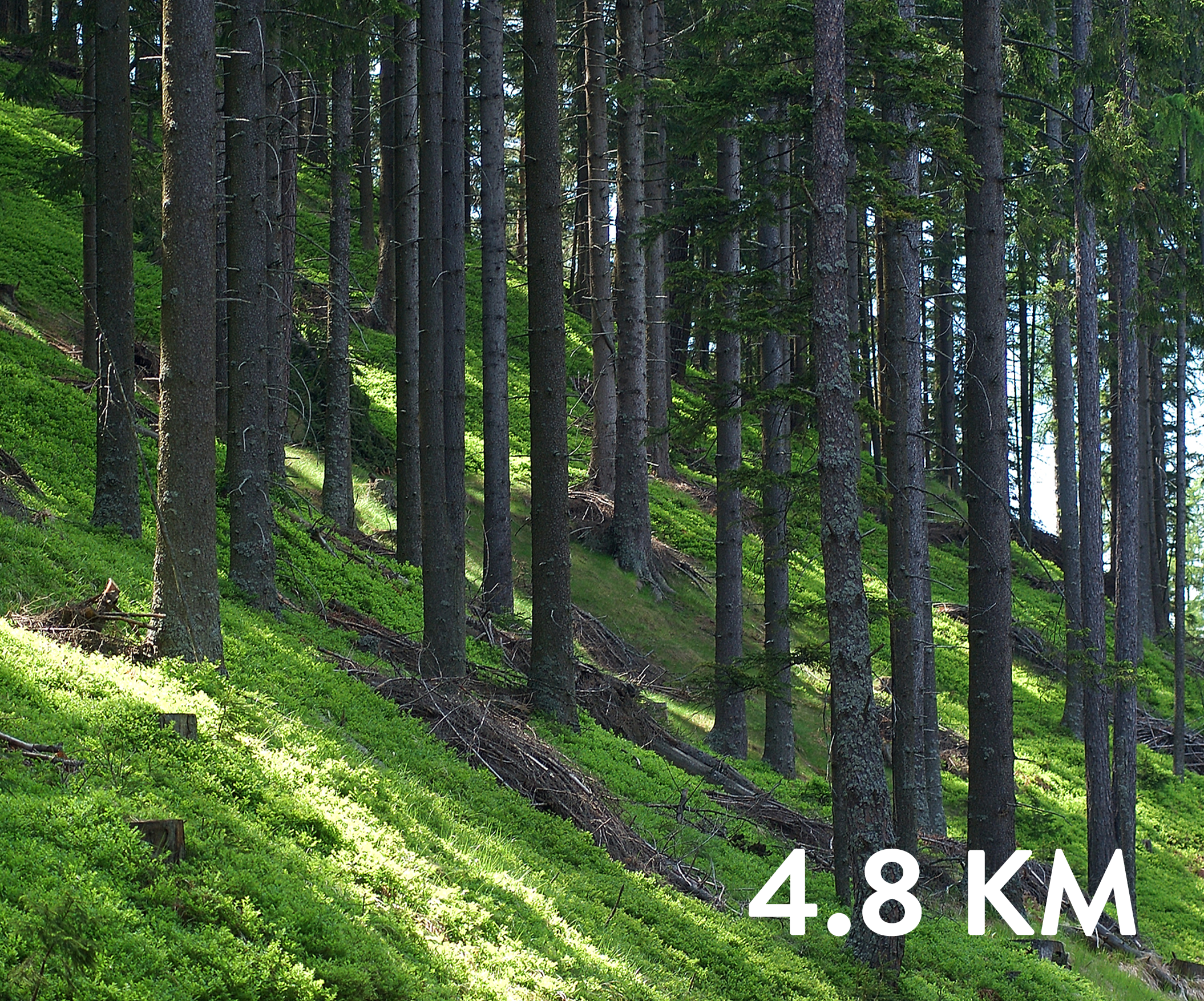 SPP: Koča pod Kremžarjevim vrhom – Slovenj Gradec