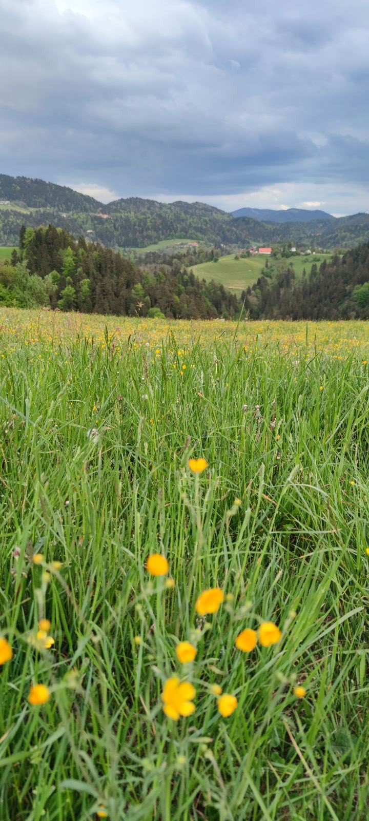 Skala Nad Dravogradom Karmen Razlag 10