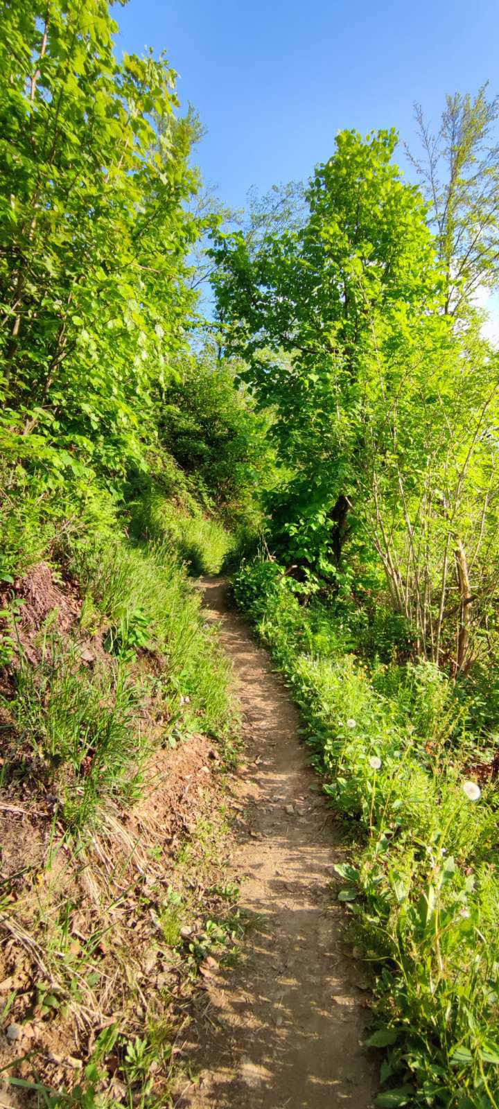 Skala Nad Dravogradom Karmen Razlag 6