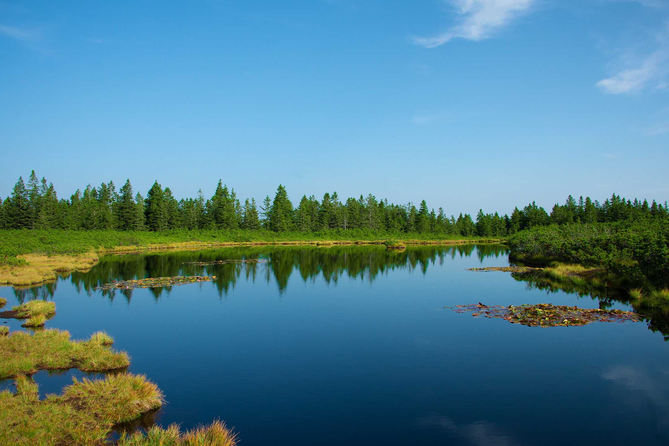 Z otroki na vrh, k jezeru in v kočo na Ribniškem Pohorju le v nekaj urah