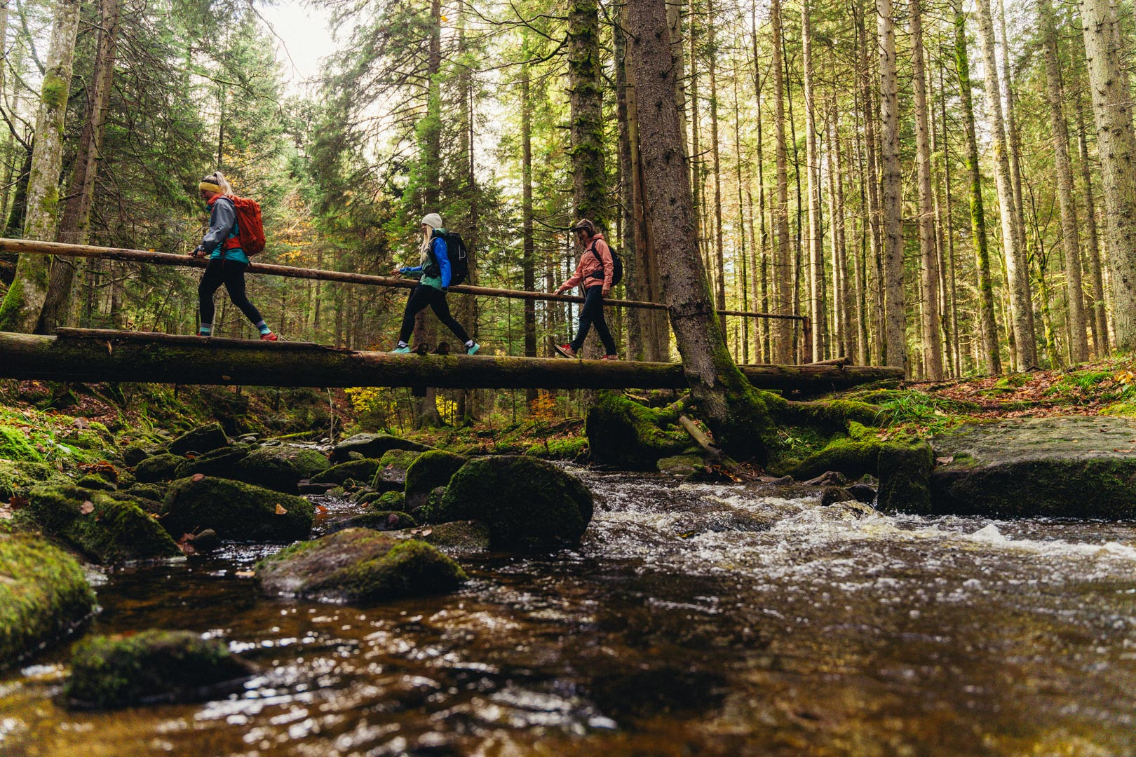 20 Etap Deset Na Pohorju In Deset Na Kozjaku