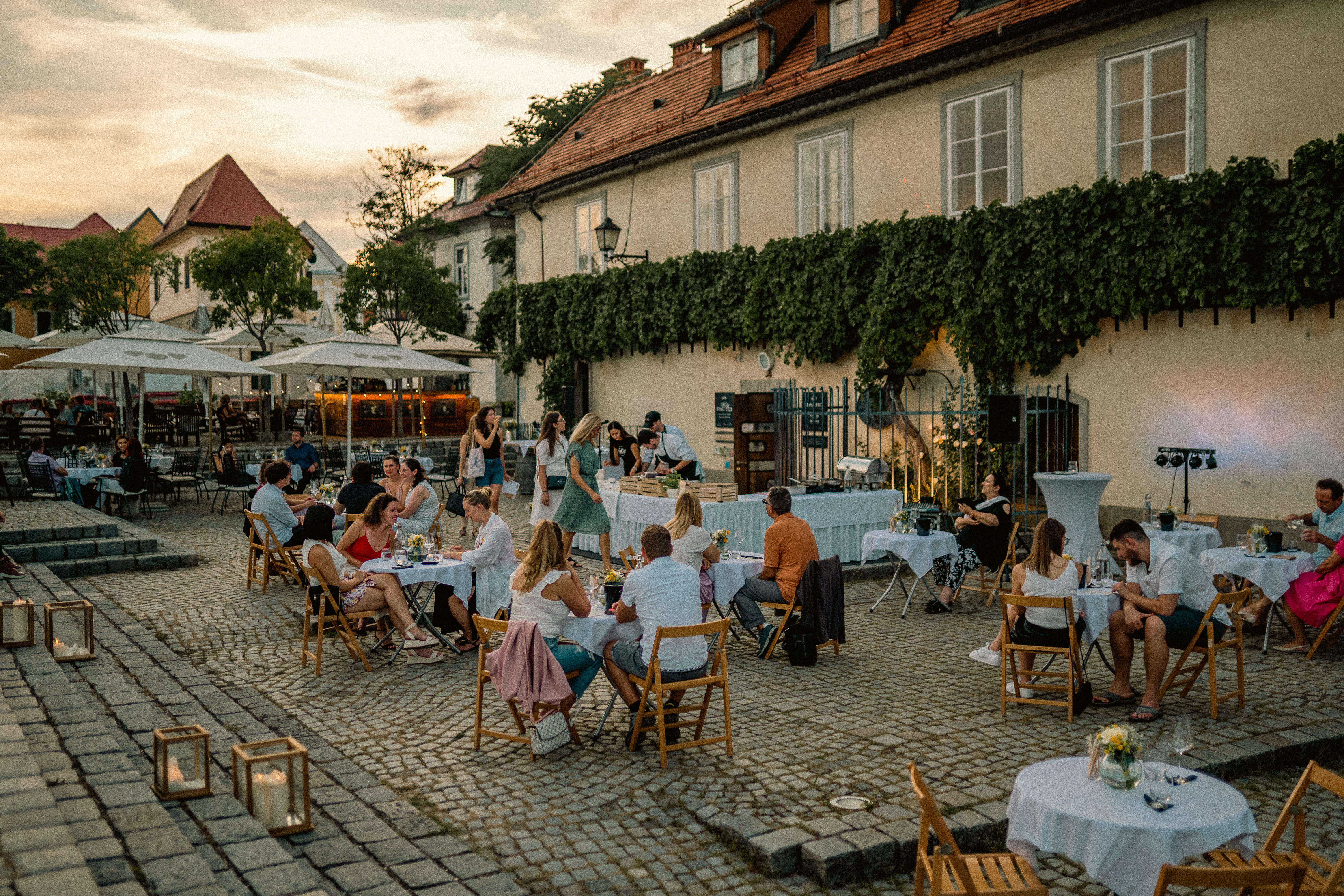 Najstarejša trta - World`s Oldest Grapevine