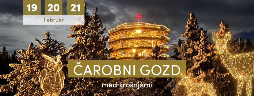 619432033 1251498353747295 7841209669084892225 N 