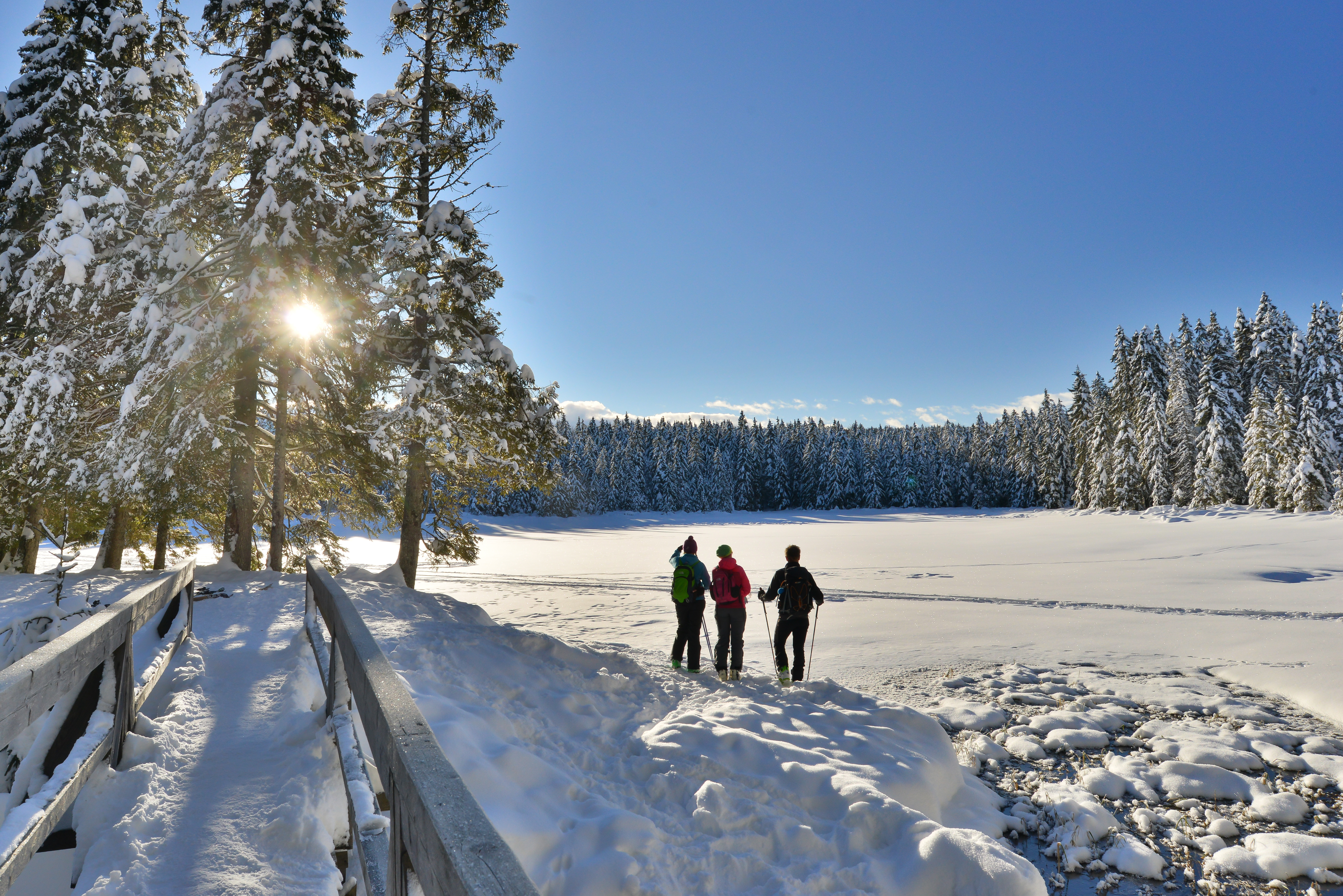 Rno Jezero Zimsko Pohodnitvo Pohorje Slovenija Jurij Pivka
