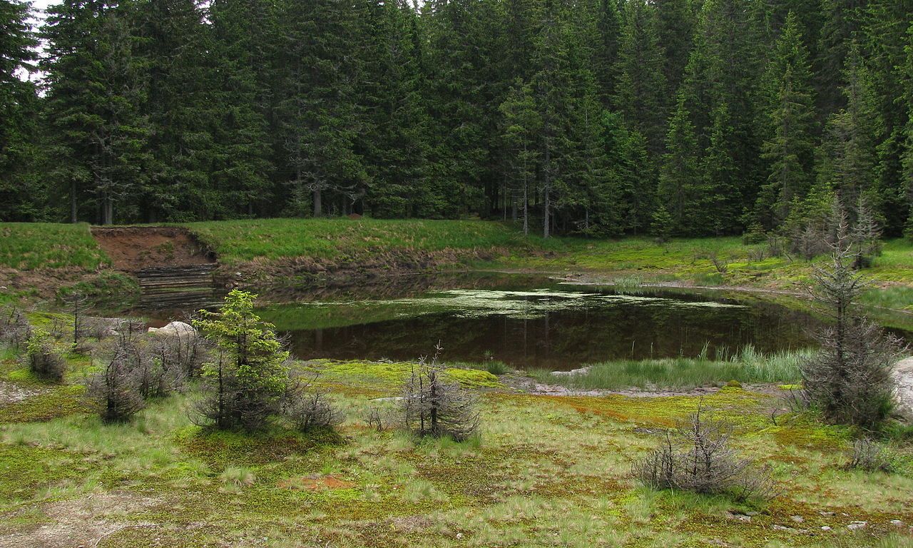 1280px Falski Ribnik Tiho Jezero