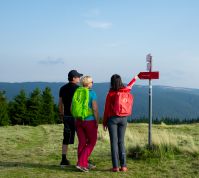 SPP: Lovrenška jezera - Ribniška koča