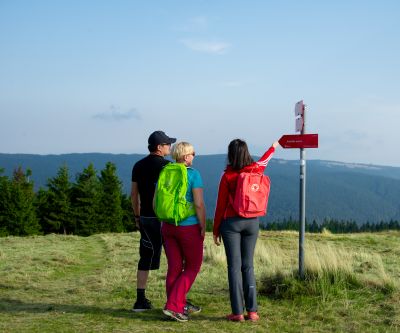 Slovenska planinska pot - čez Pohorje