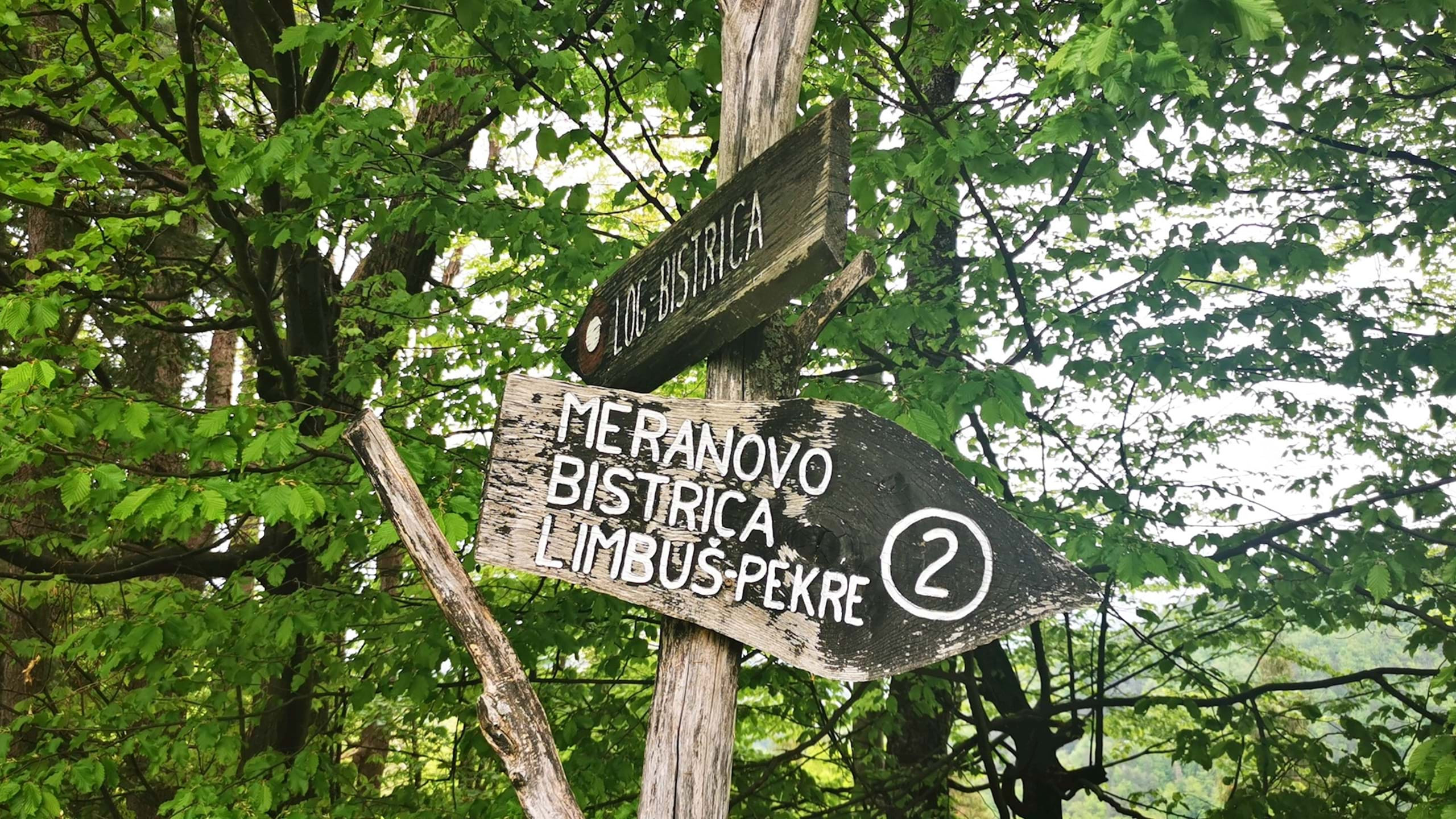 Pot Na Peke Pohorje Slovenija 9