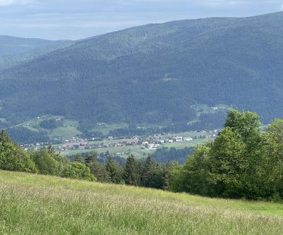 Glančnik