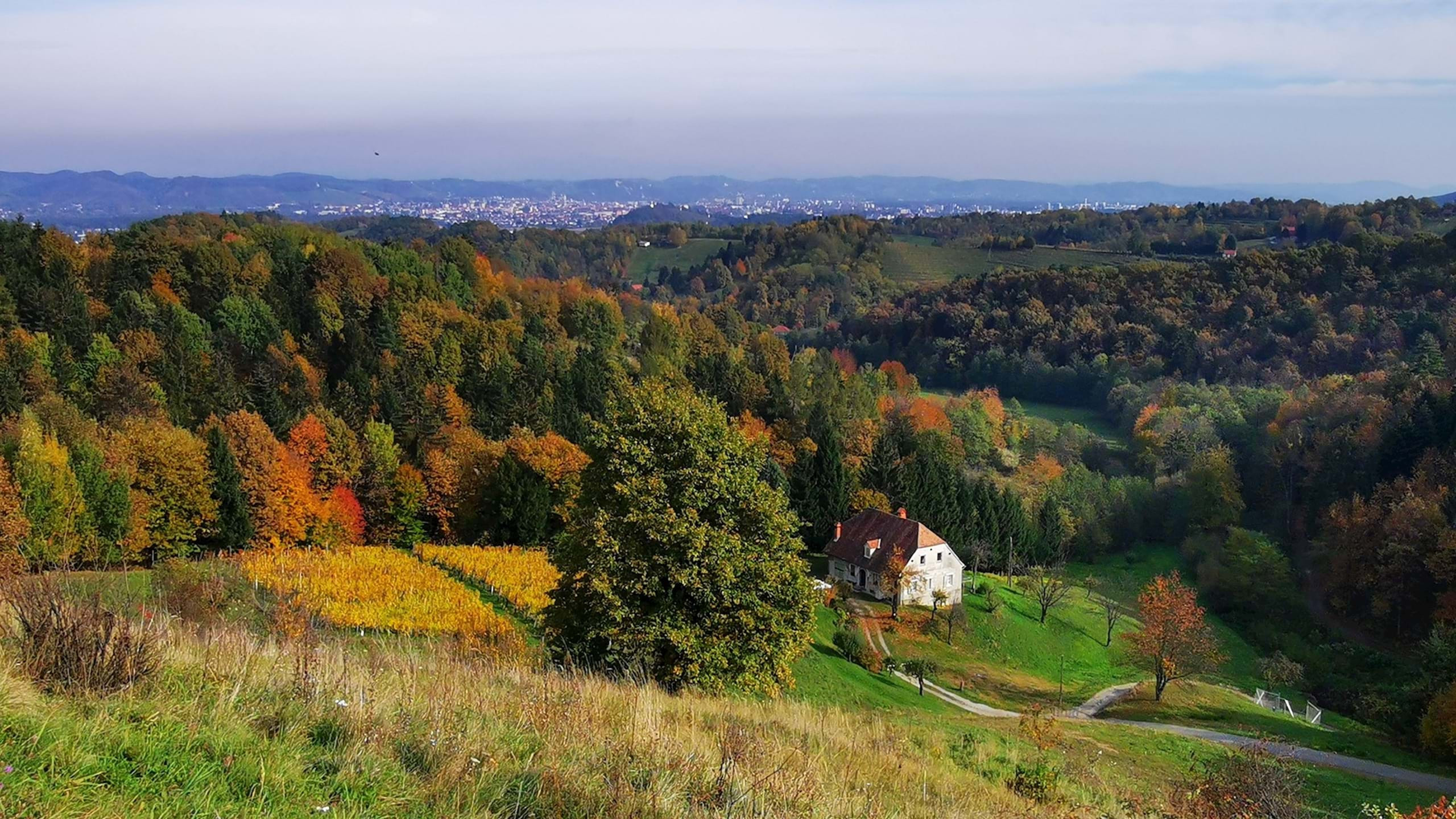 Pot Na Meranovo Pohorje Slovenija 6