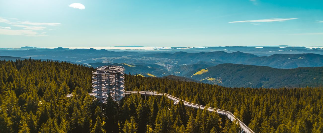 Pot Med Kronjami Pohorje Pohorje Slovenija Domen Hohler Dron D Dolina
