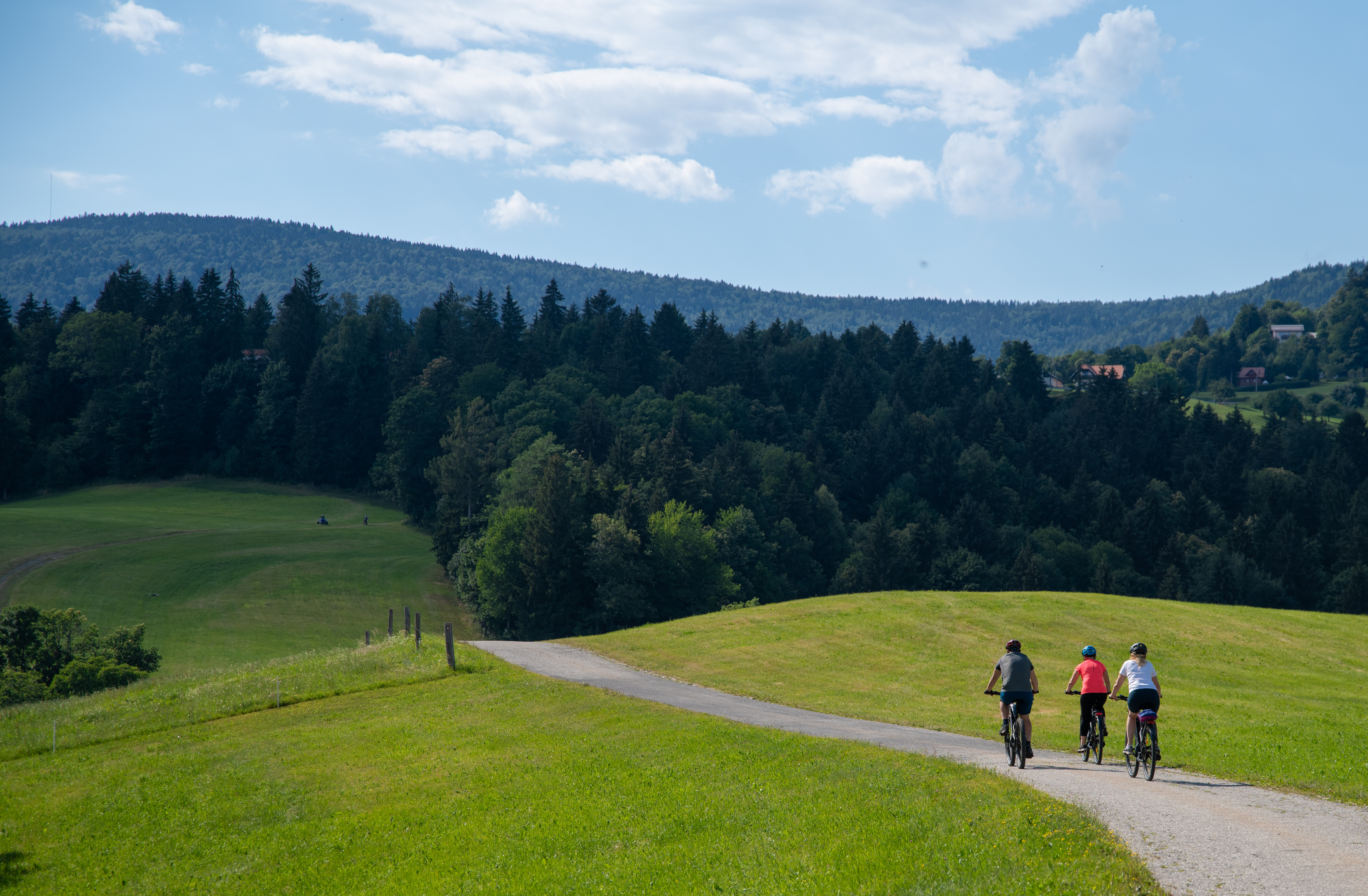 Kolesarske poti Pohorje - Hočko Pohorje