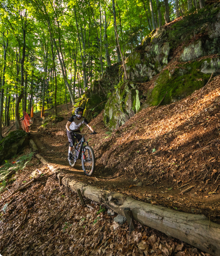 Bike park Rogla