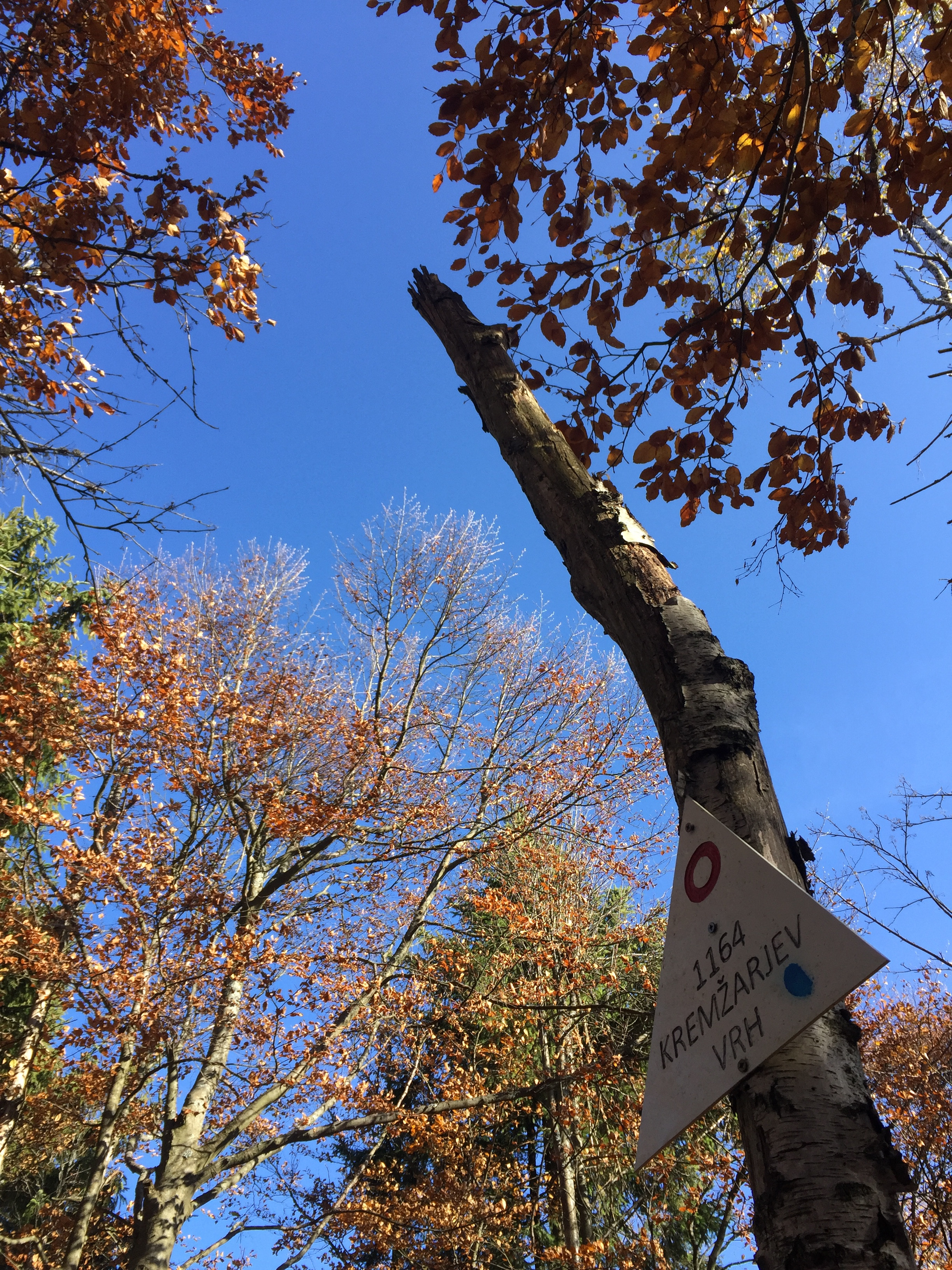 Kremarjev Vrh Pohorje Slovenija Ale Rupreht 24