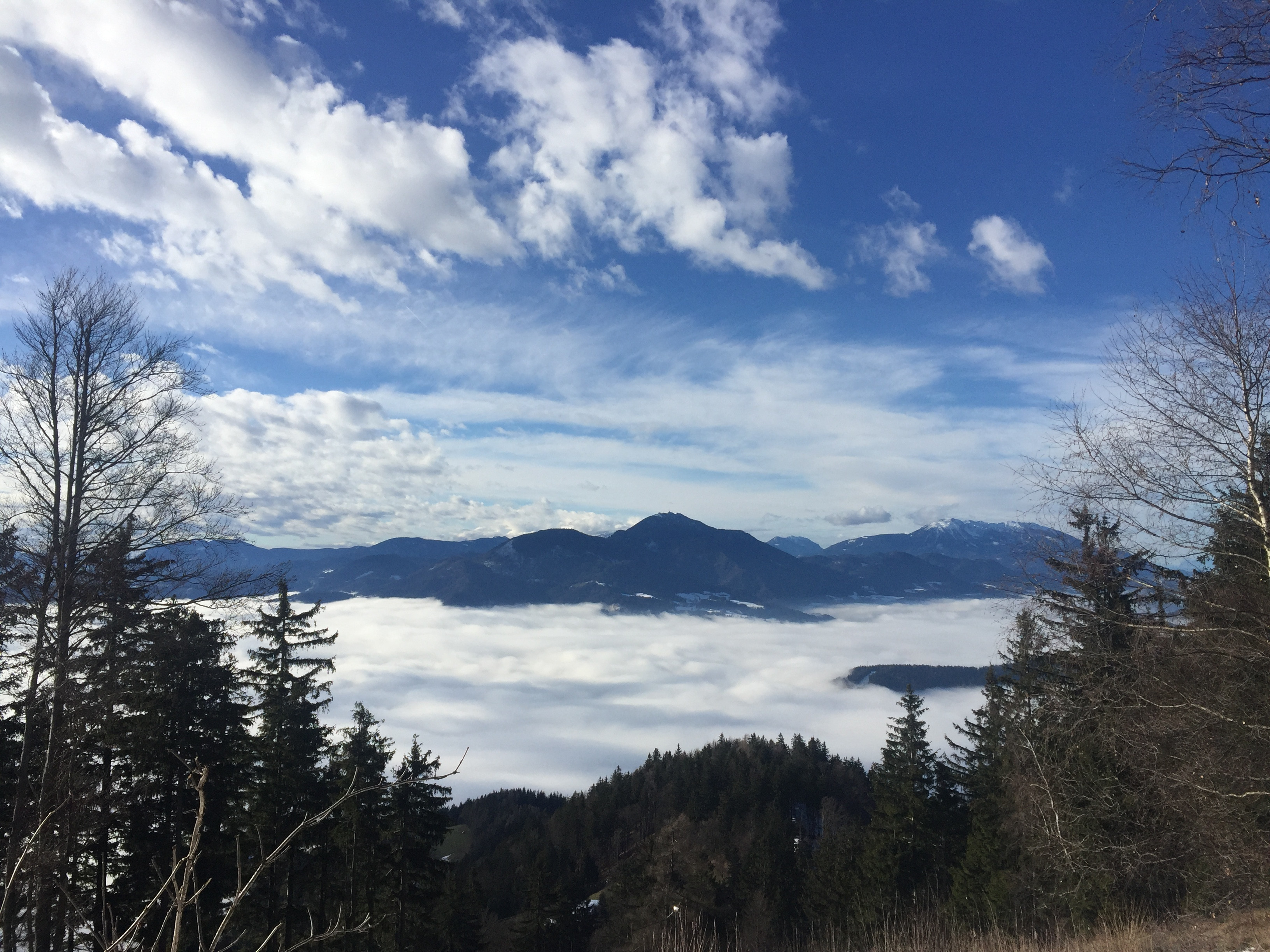 Kremzarjev Vrh Pohorje Slovenija Ales Rupreht 2