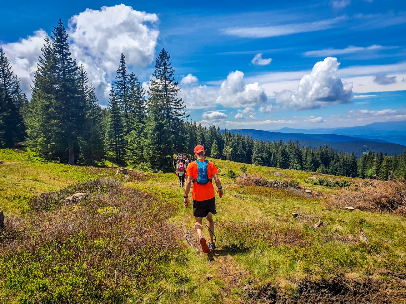 Ogled Trase Rogla Trail