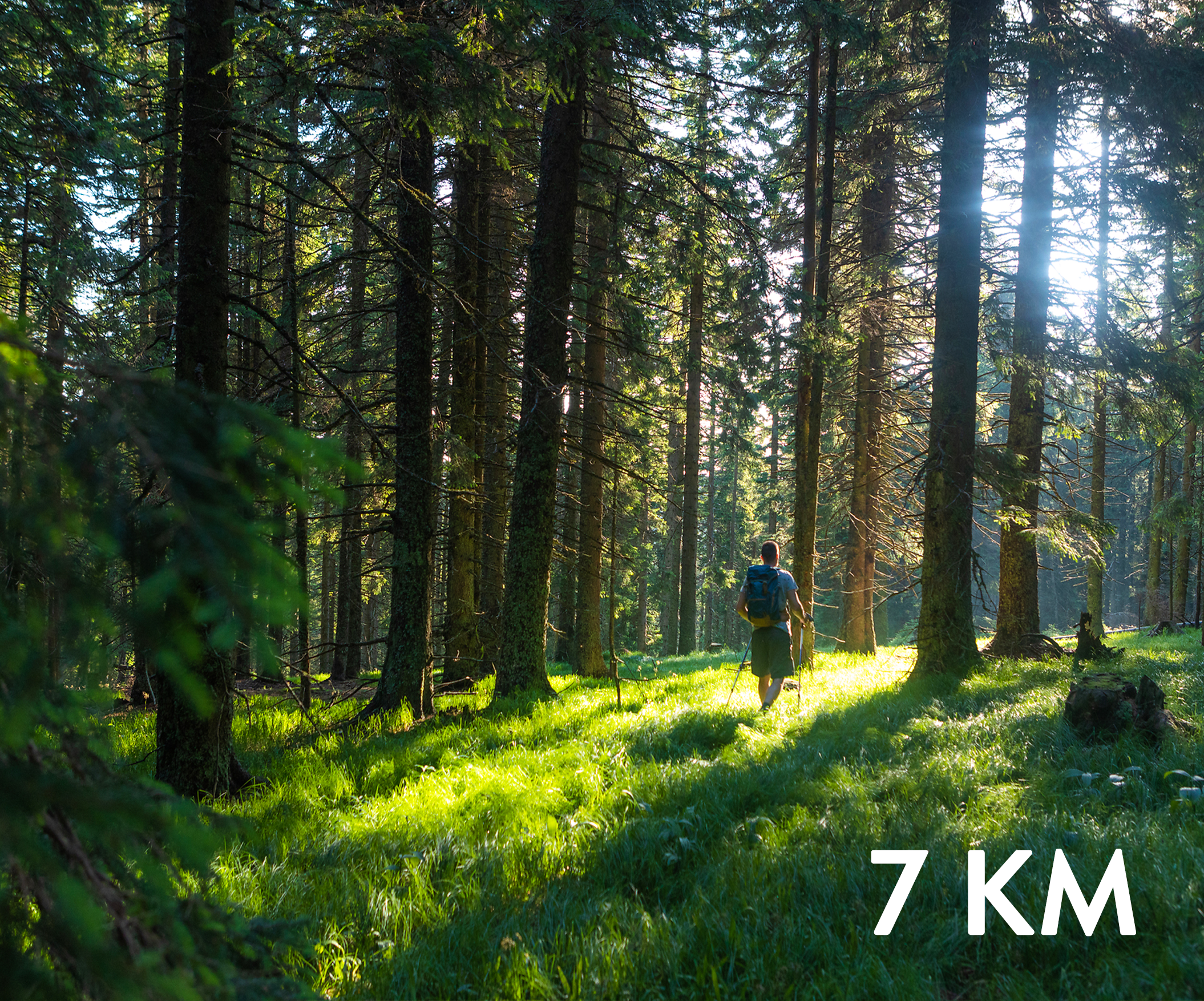 SPP: Klopni vrh – Koča na Pesku