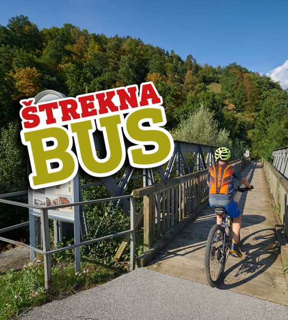 Štrekna bus