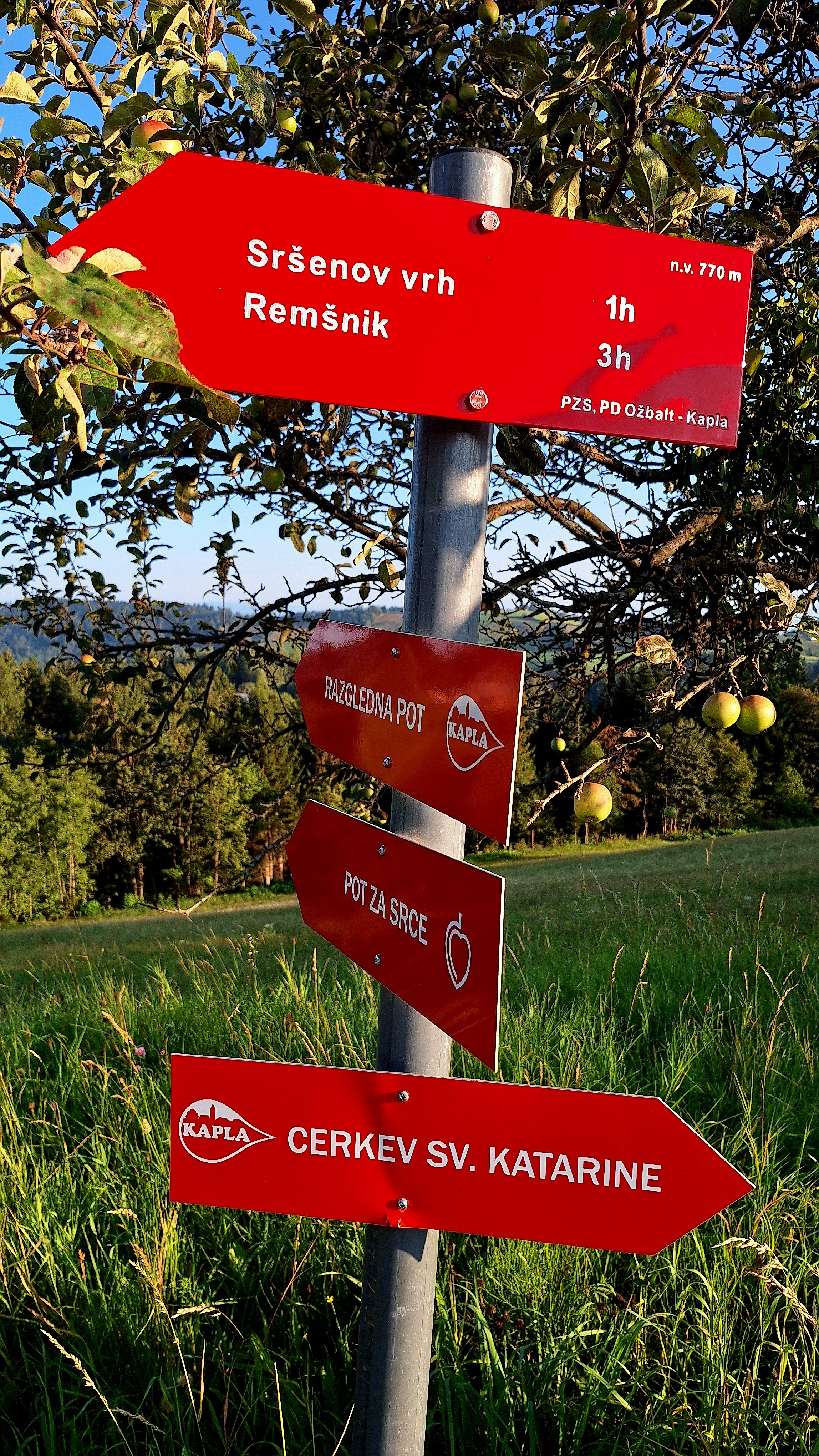 Kaipot Za Srenov Vrh V Naselju Kapla