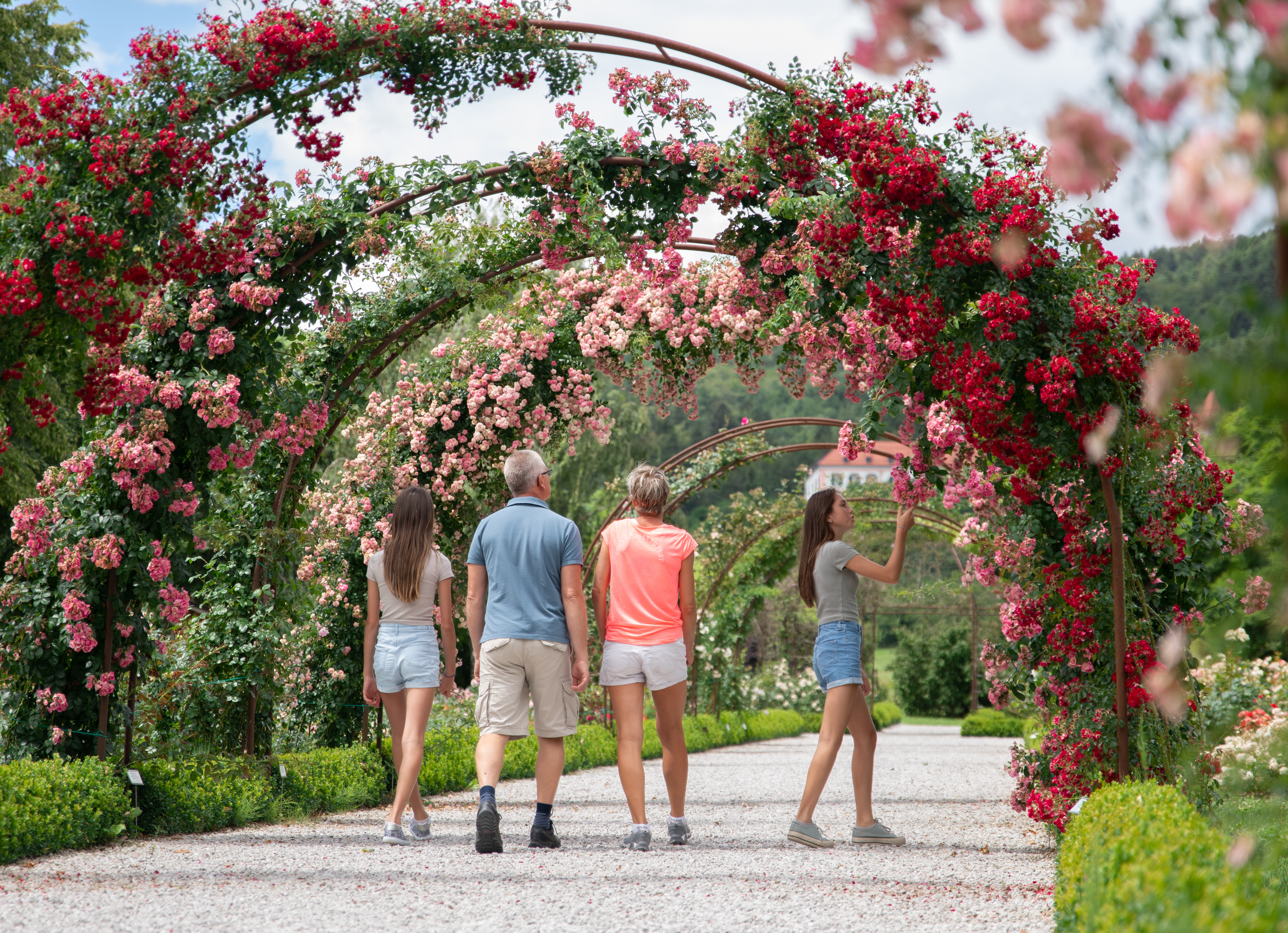 Botanini Vrt Univerze V Mariboru Pohorje Slovenija Klara Kulovec 1
