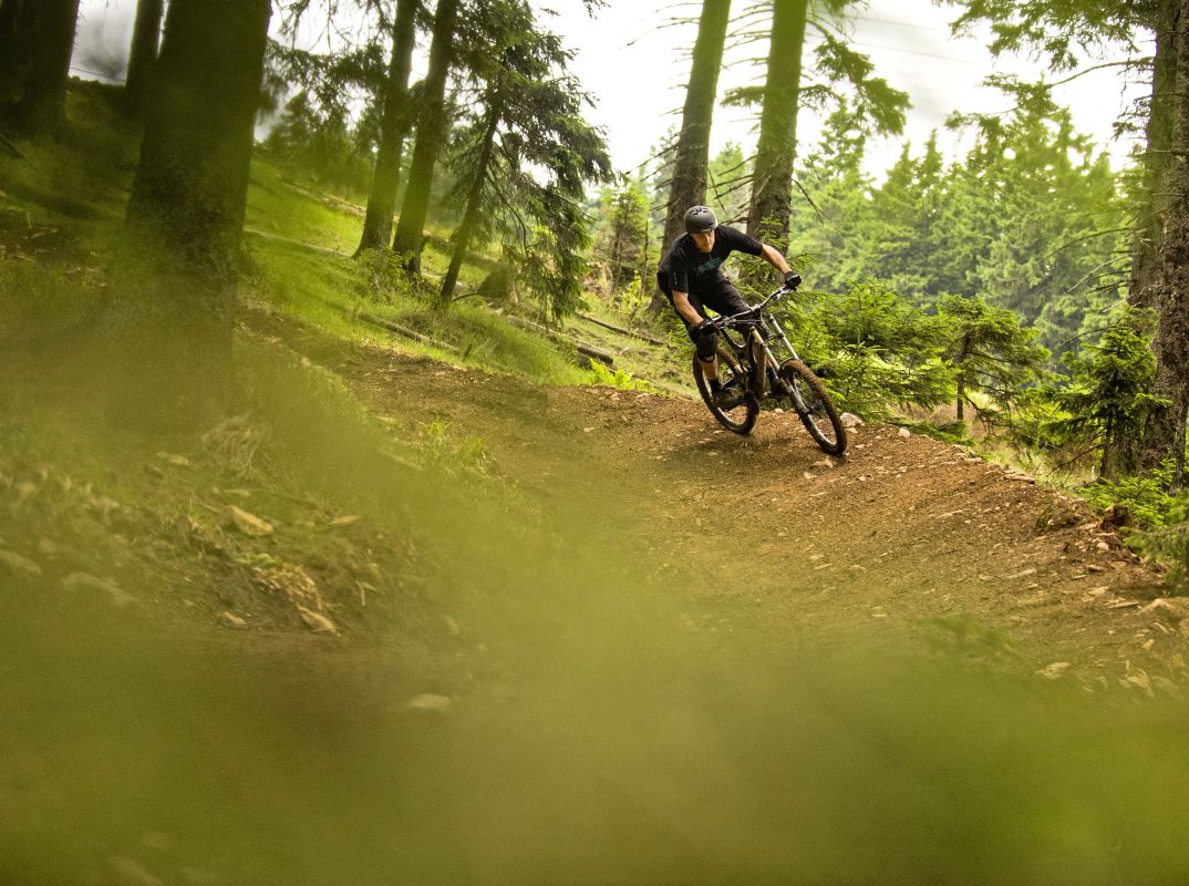 Bike park, primeren tudi za začetnike