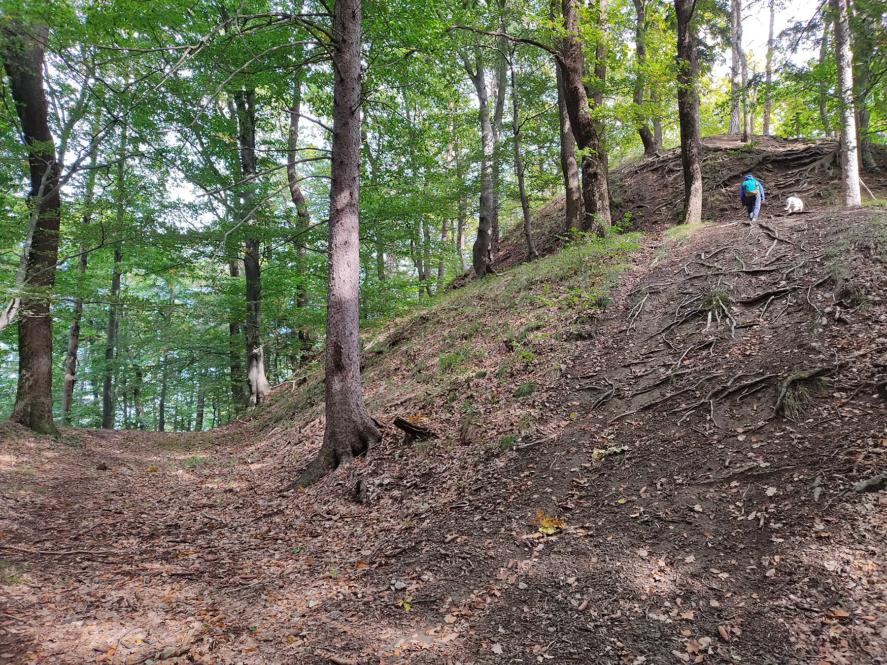 Arheološko najdišče Habakuk in Poštela (520 m nmv)