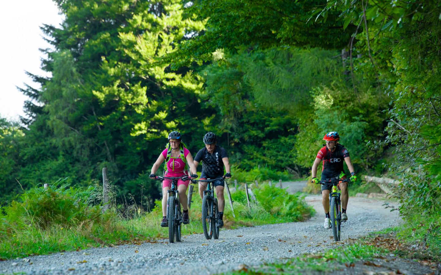 Kolesarska pot Pohorje - Lovrenc na Pohorju