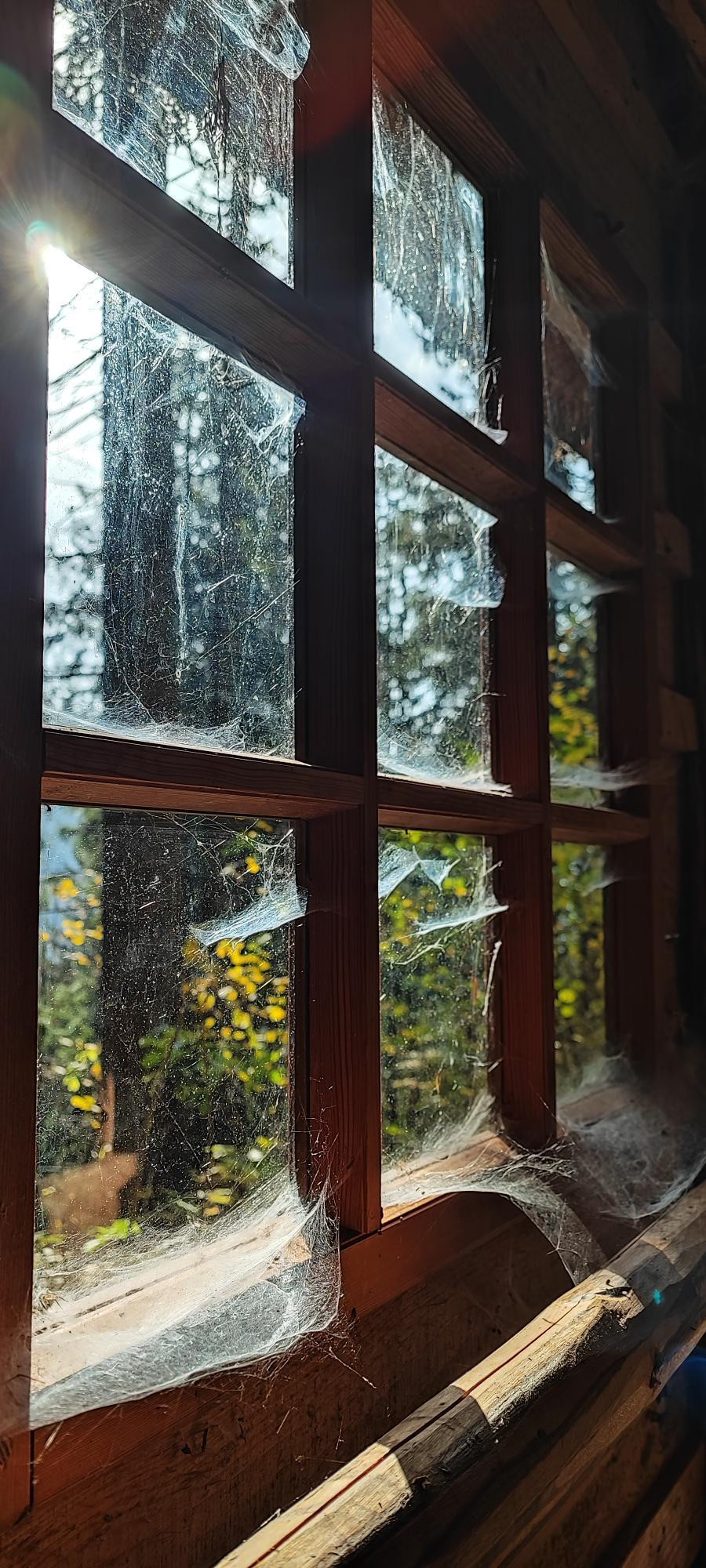 Paukove Partizanske Bolninice Ale Peru 4