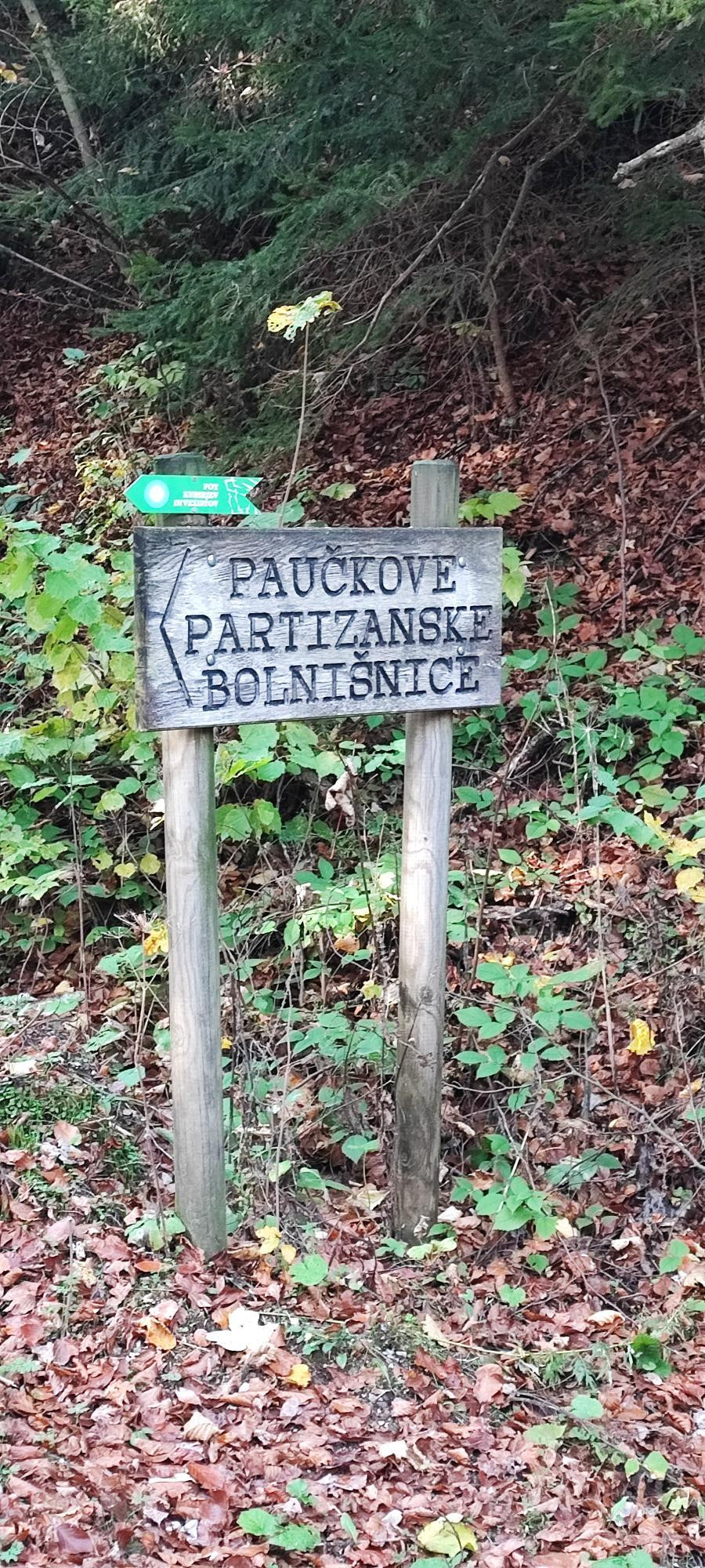 Paukove Partizanske Bolninice Ale Peru 6