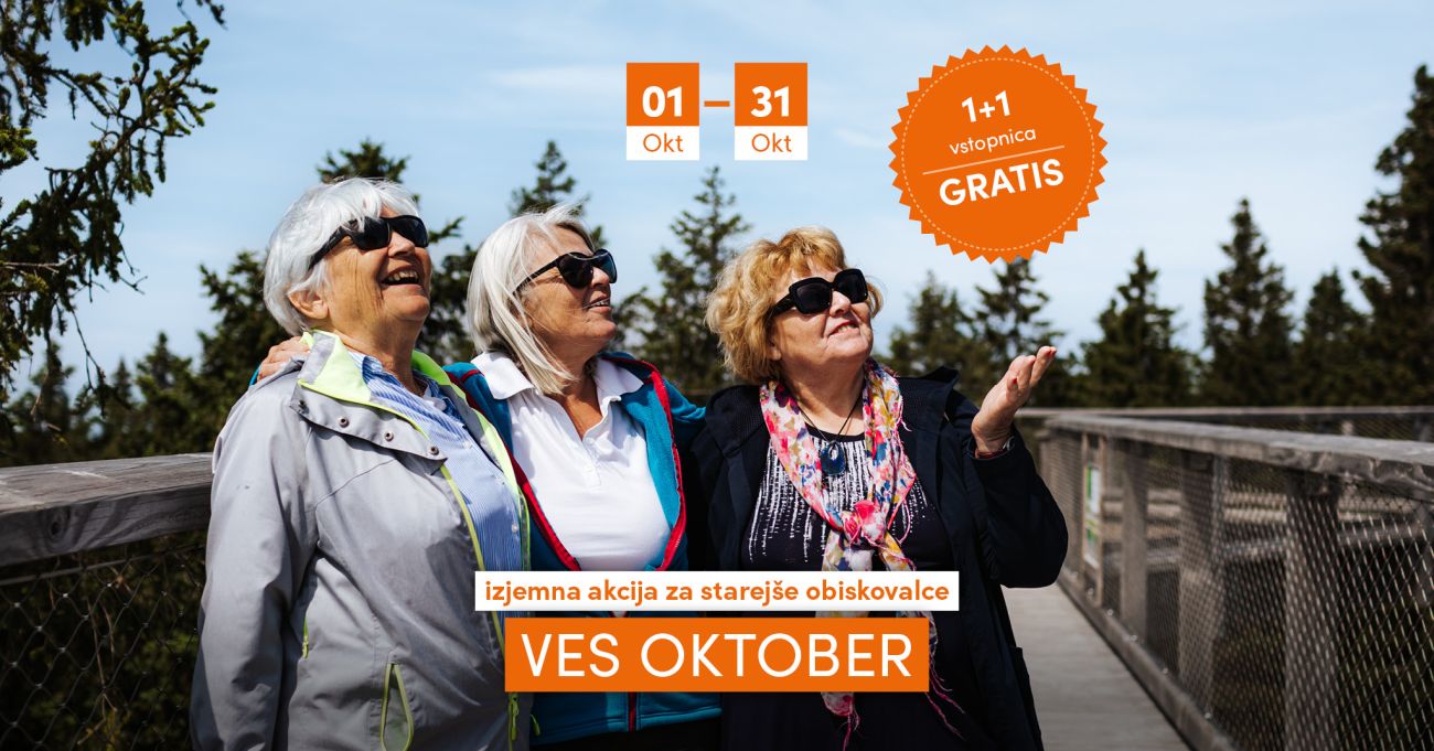 541512840 1132504205646711 4193122778652115648 N