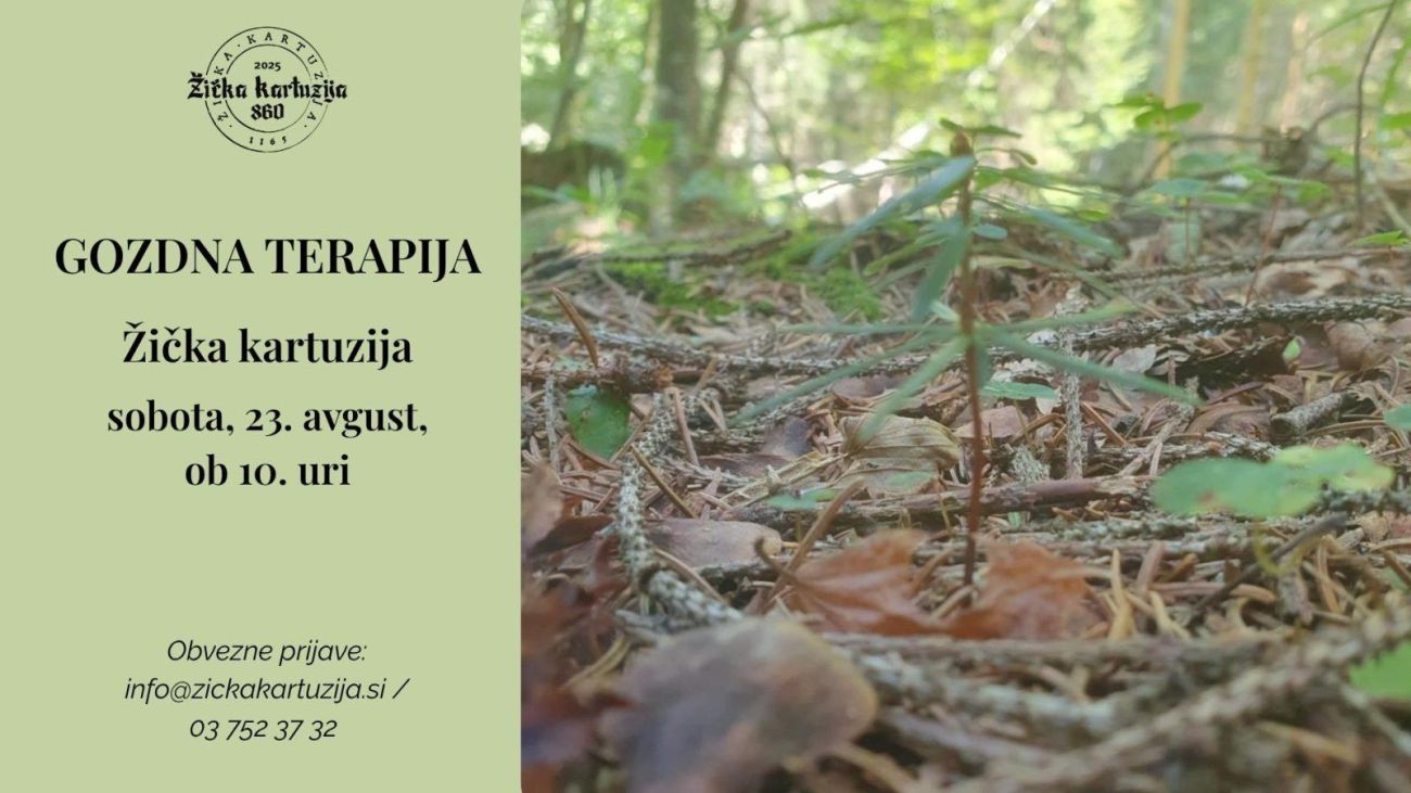 Gozdna Terapija Naslovna Fotografija