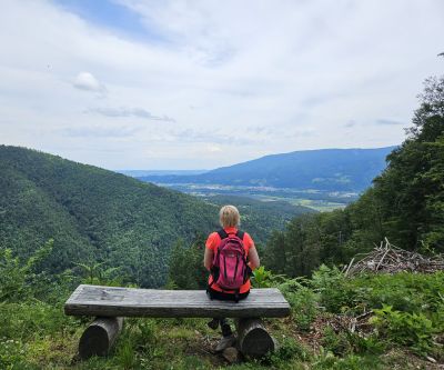 Ruta