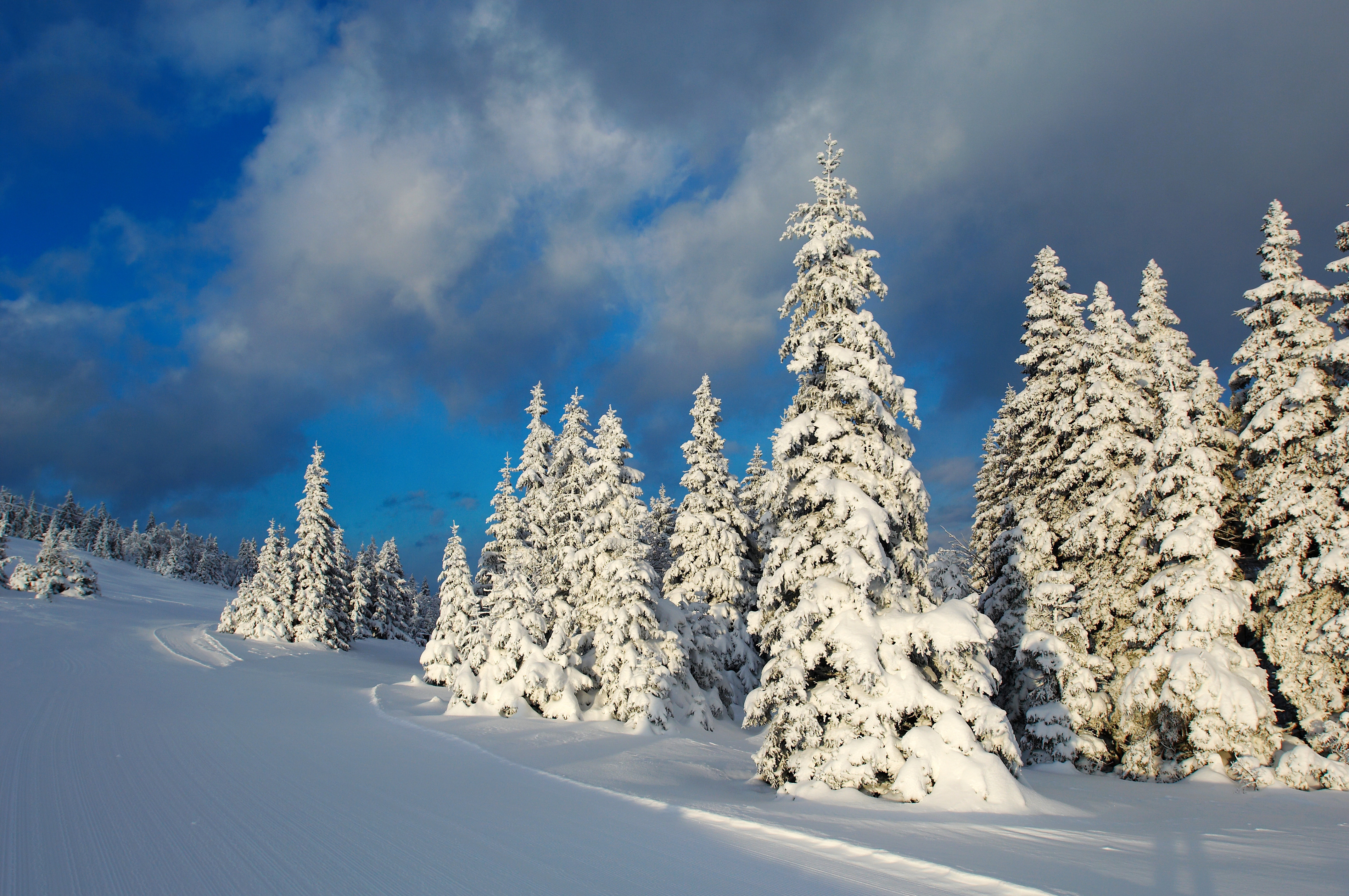 Kope Tomo Jesenicnik