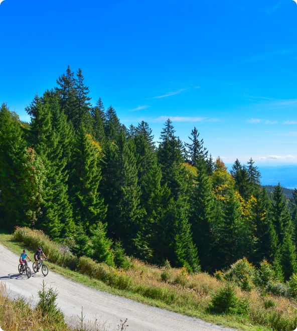 720 km kolesarskih poti