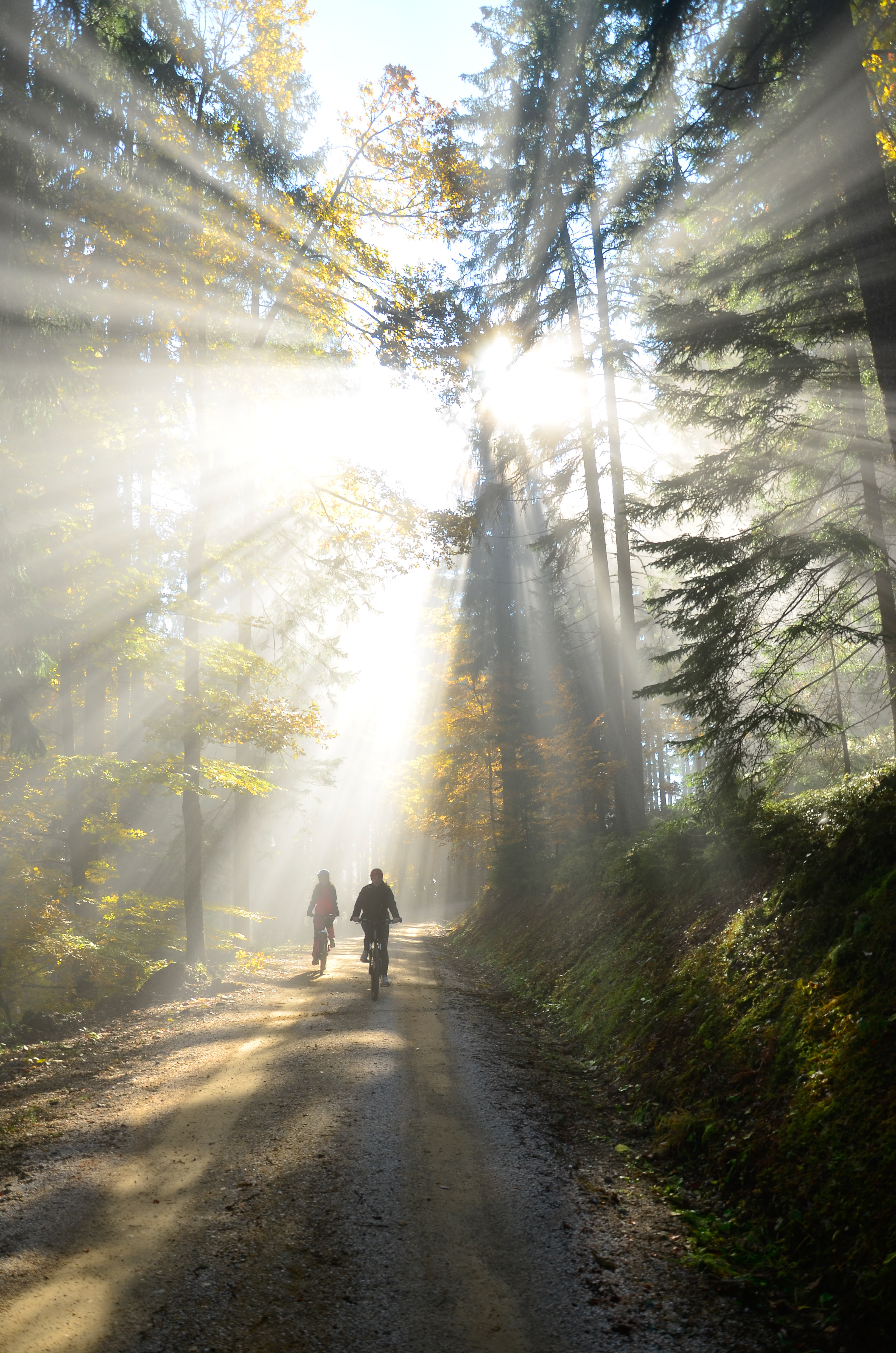 Kolesarska pot Pohorje 1 - Kope