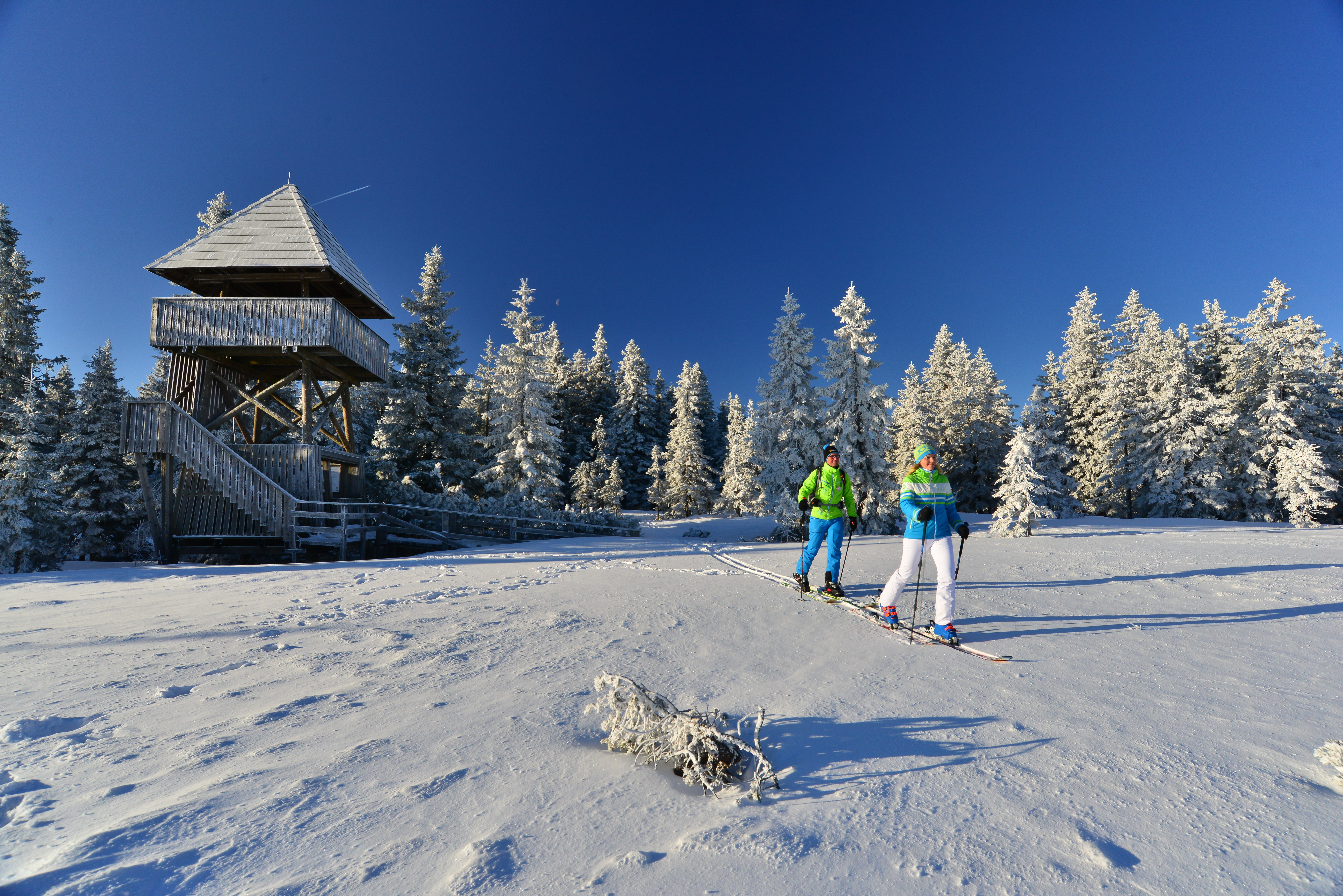 Tekaške proge na Arehu