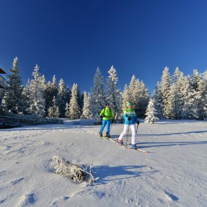 Lovrenska Jezera Turno Smučanje Pohorje Slovenija