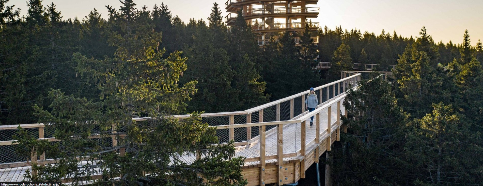 Potep Po Rogli Rogla Pohorje Pohorje Slovenija