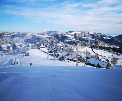 Ribnica na Pohorju