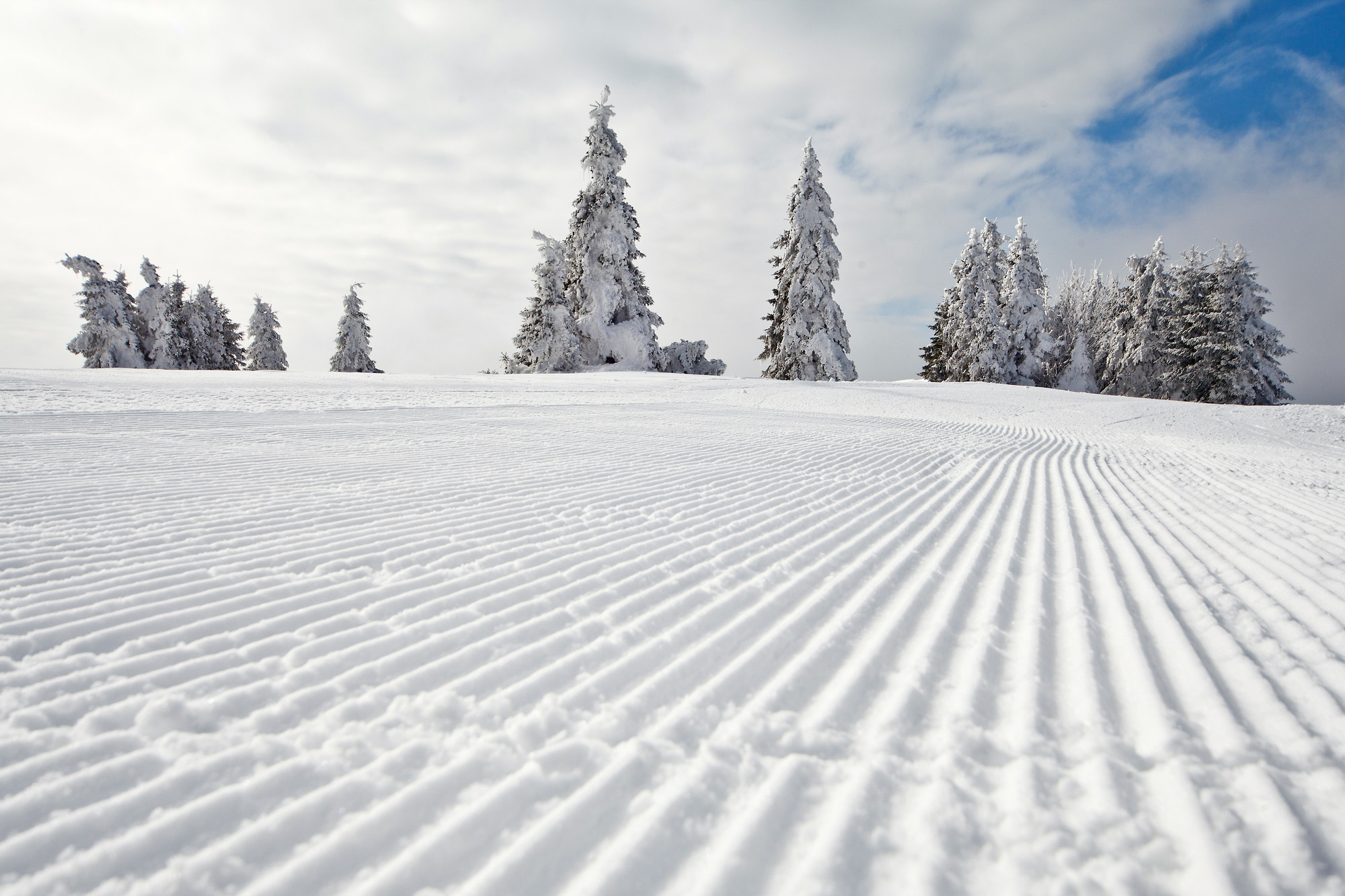 F005518 Kope Jost Gantar Velika 21 Orig Jpg Photo M