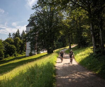 Kolesarska pot Pohorje - Mariborsko Pohorje