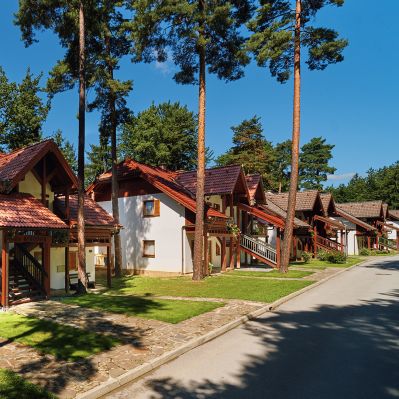 Vile Terme Zreče ****