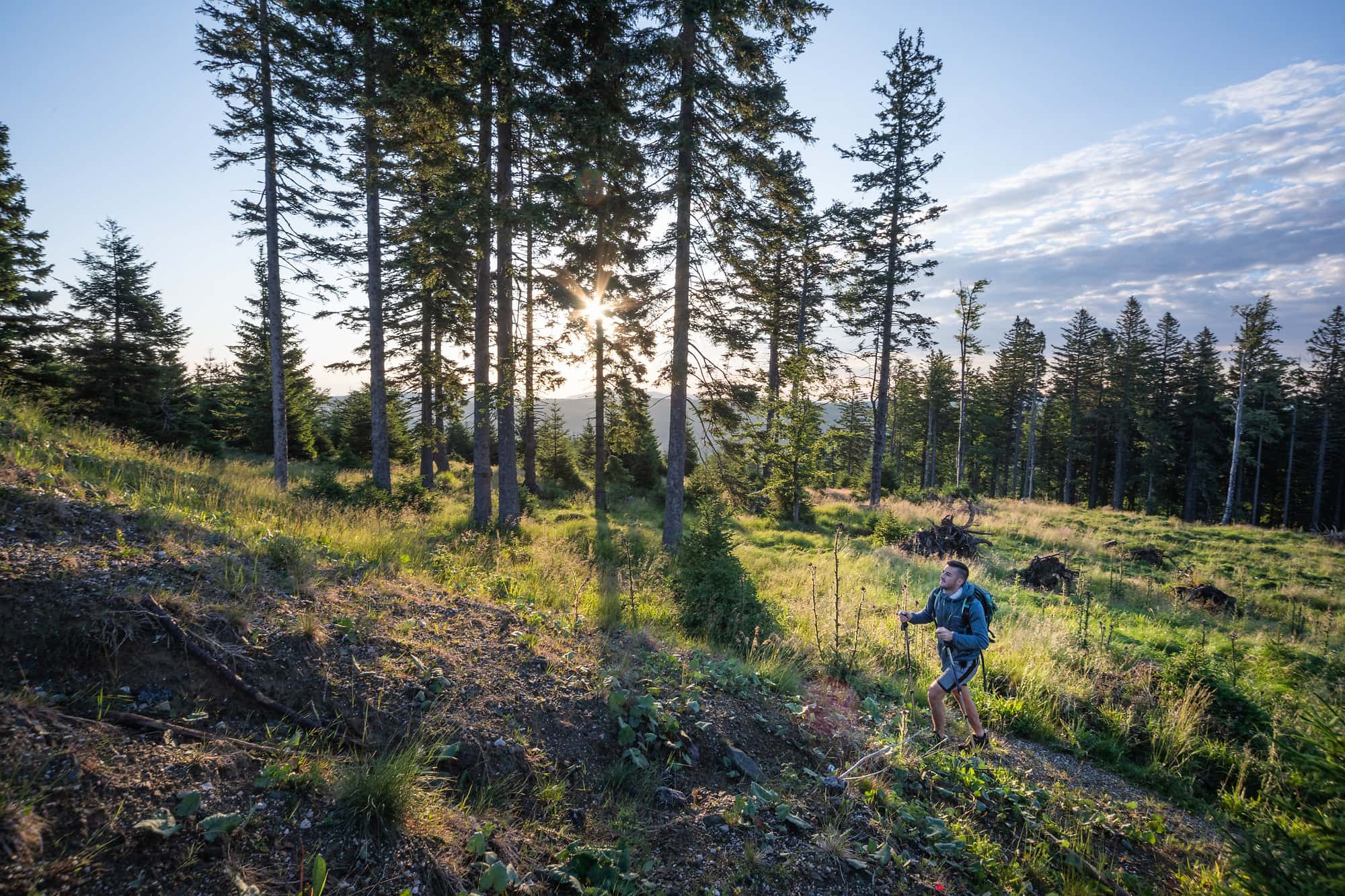 Slovenska planinska pot