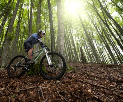 Konjice trails