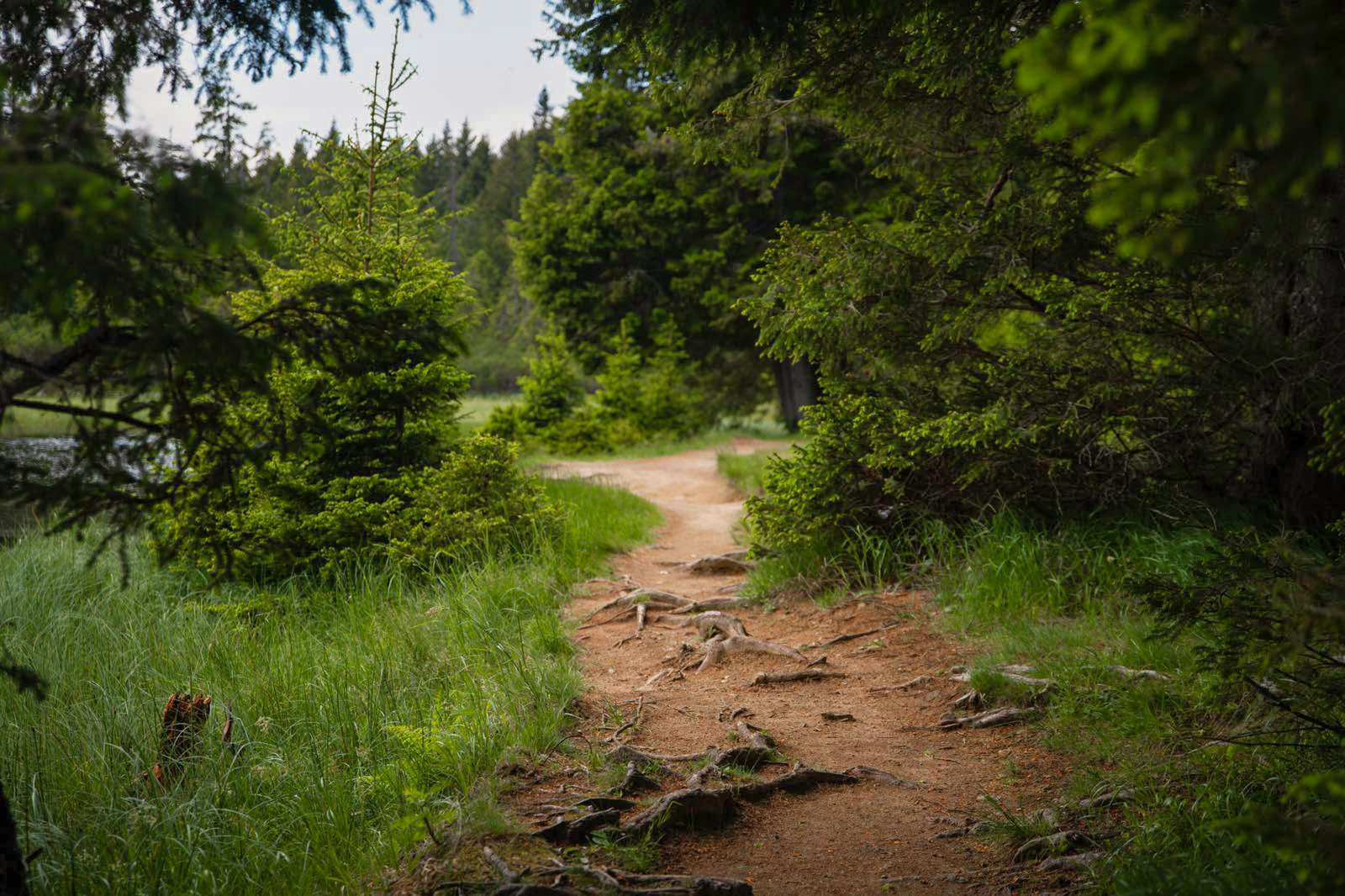 Crno Jezero Klara Kulovec 6