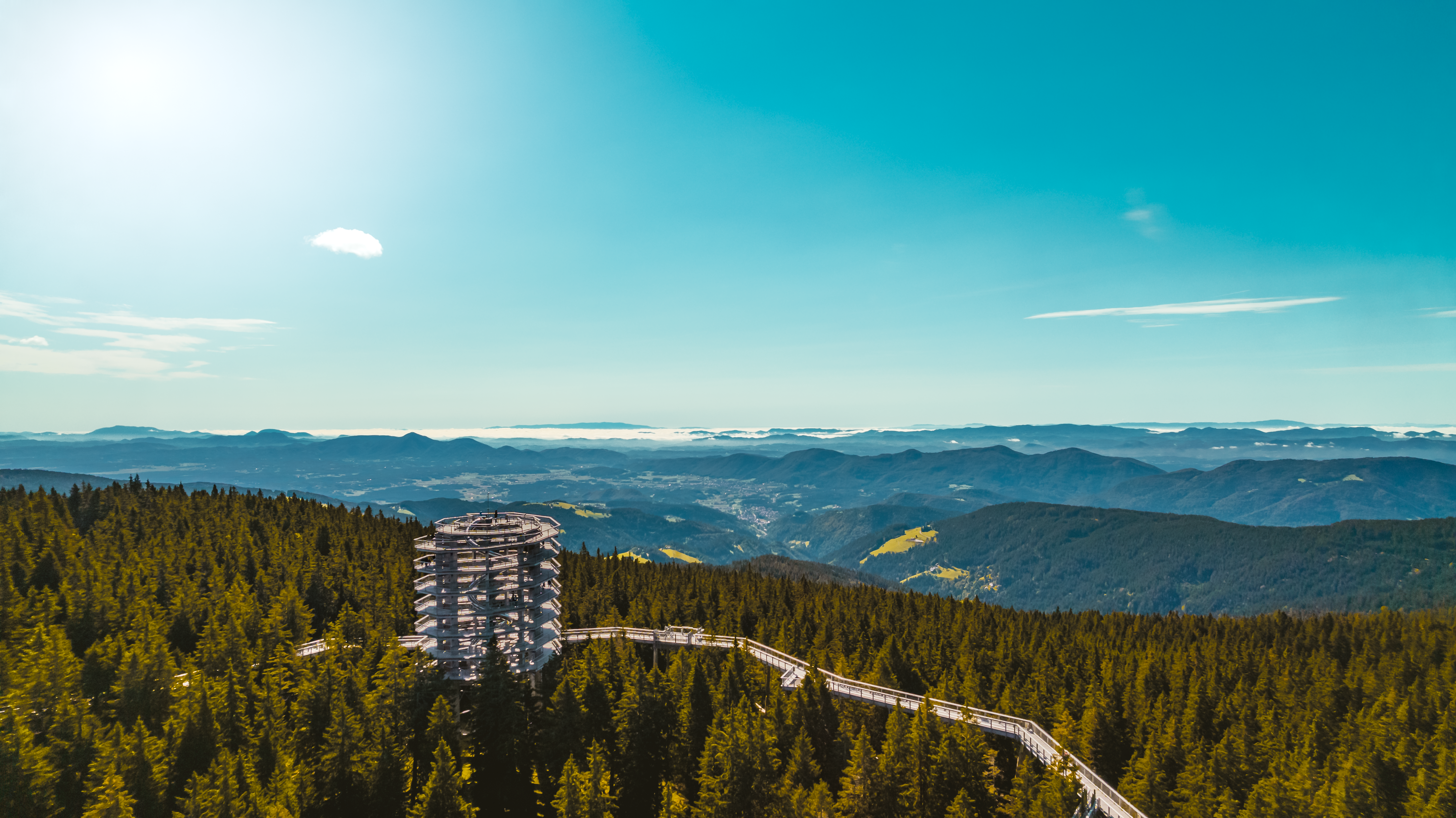 (Vsaj) štirje razlogi za družinski obisk Poti med krošnjami na Rogli